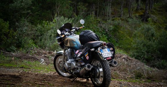 Motorcycle License, Dui Record - Motorcycle Parked in the Forest