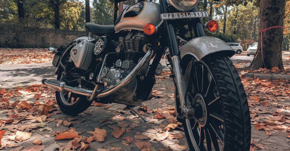 Motorcycle License - Fallen Leaves on Pavement