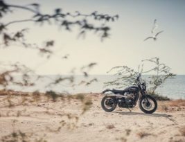 Discovering Wildlife: Motorcycle Tours in Natural Habitats