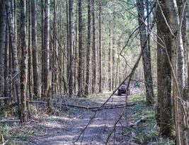 Essential Recovery Techniques for Off-road Riding Mishaps