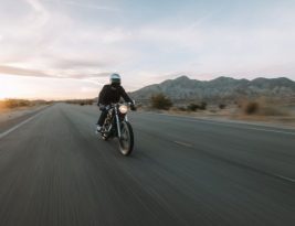 How to Deal with Animal Encounters on a Motorcycle