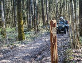 Mastering Off-camber Riding Off-road