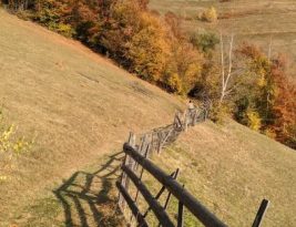 Off-road Riding Etiquette and Trail Respect